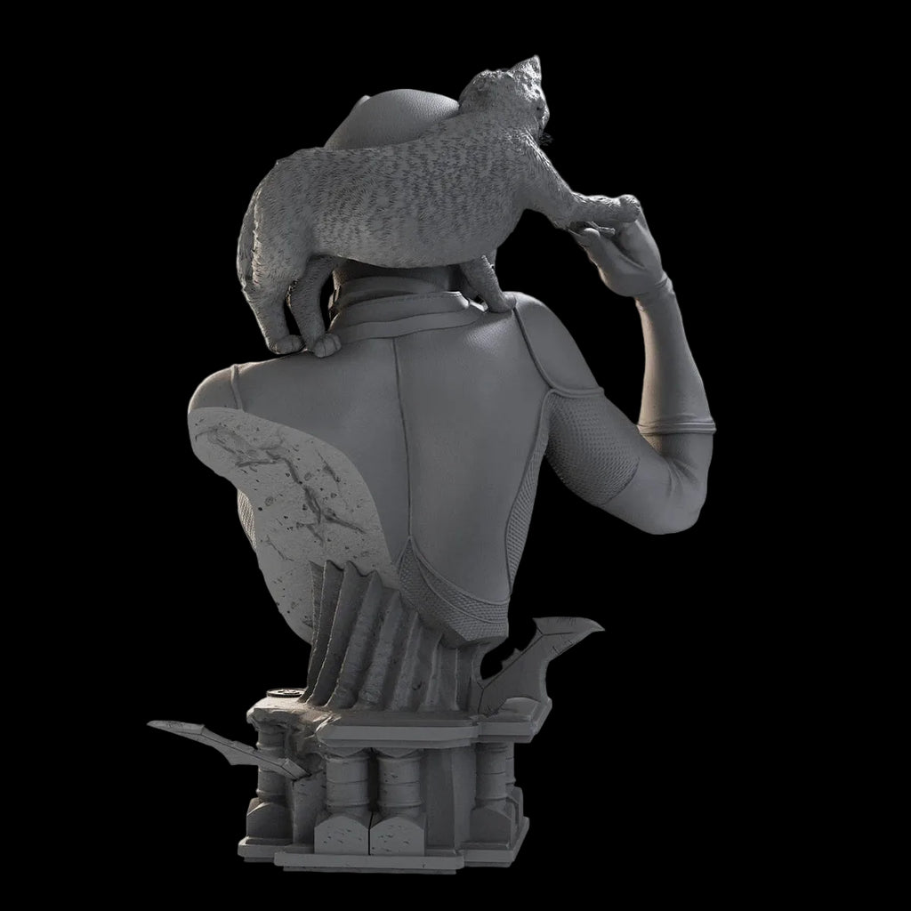 1/10 Catwoman Comic Anti-Hero Bust Resin GK | DC Villain Model