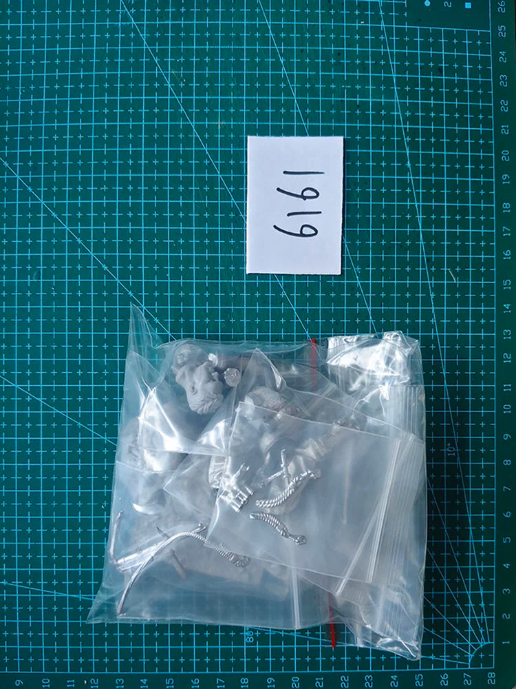 1/16 Scale (120mm) WWII Allied Paratrooper Resin Figure - Airborne Jumper Model Kit