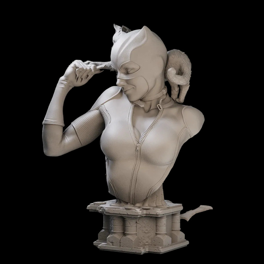 1/10 Catwoman Comic Anti-Hero Bust Resin GK | DC Villain Model