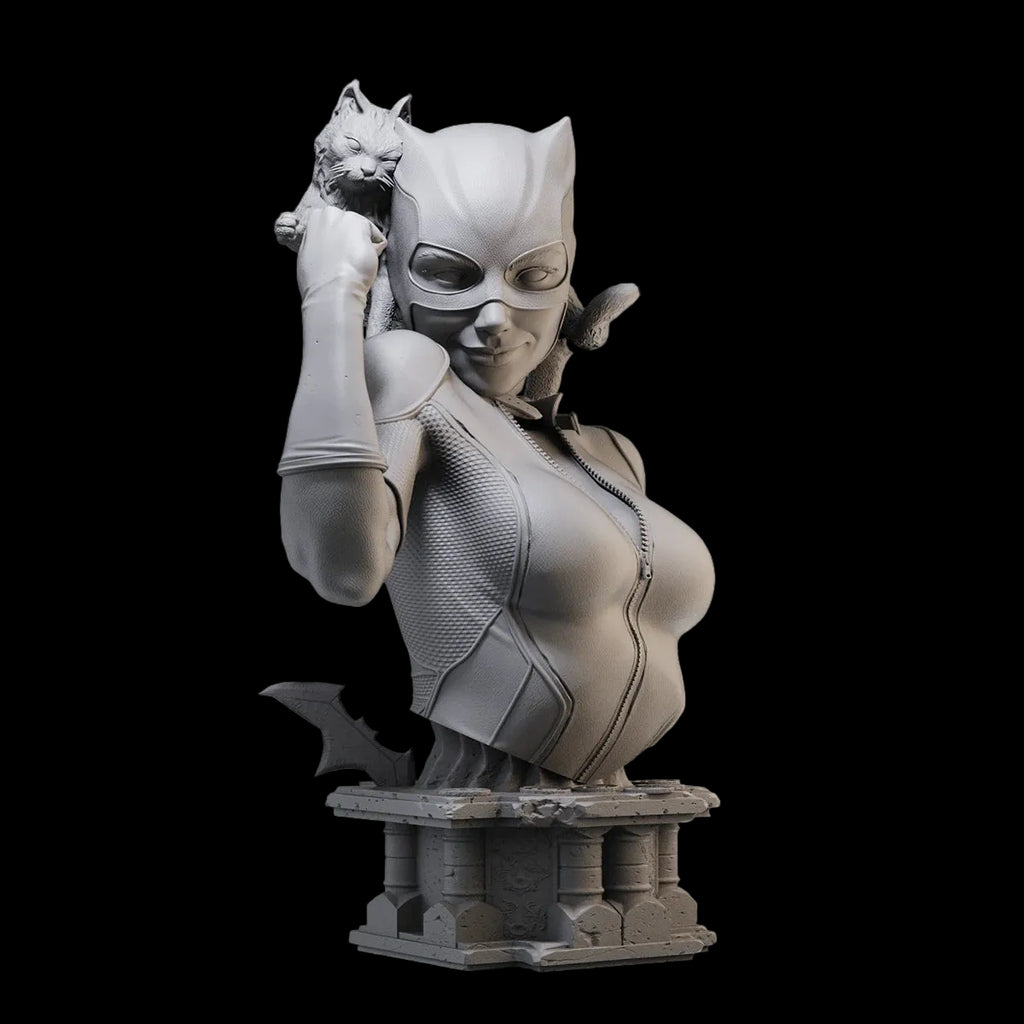 1/10 Catwoman Comic Anti-Hero Bust Resin GK | DC Villain Model