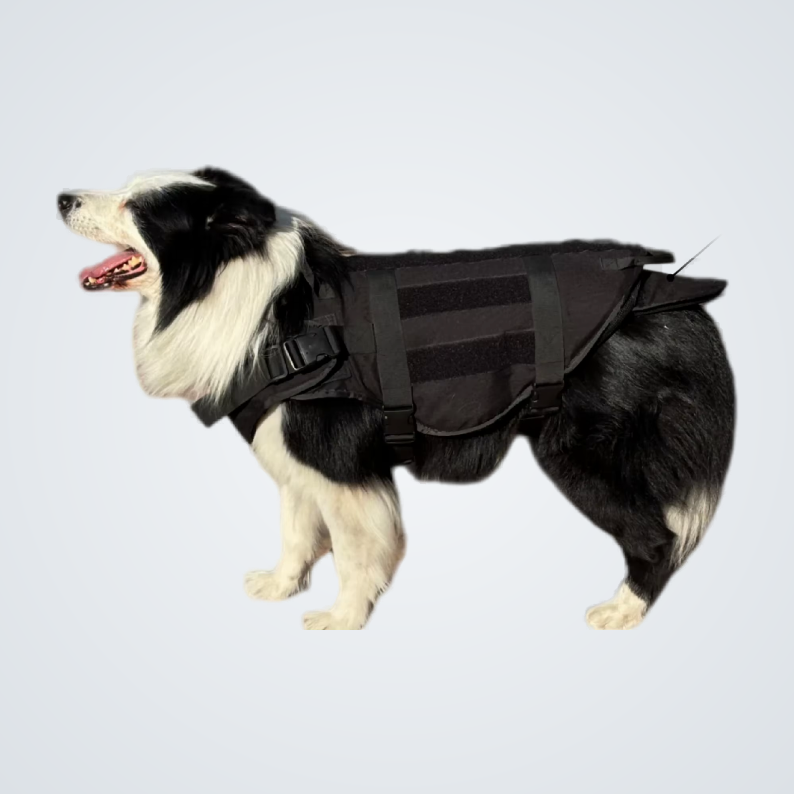 NIJ IIIA ballistic dog vest, UHMWPE K9 body armour on a working dog