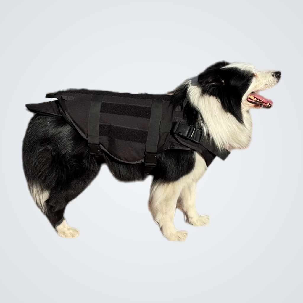 Ballistic dog vest rear view with MOLLE webbing, K9 body armour