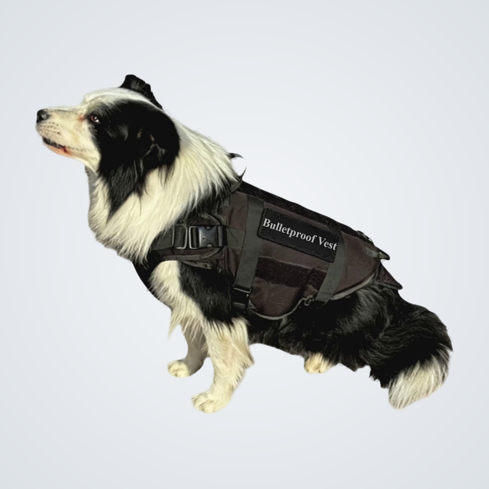 Ballistic dog vest, UHMWPE K9 body armour, side profile